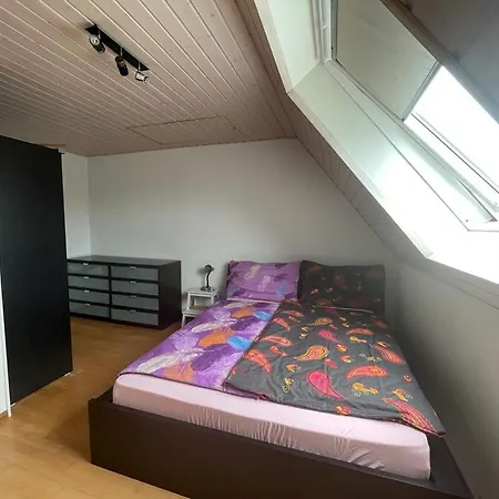 Charmant Logement A !plus Disponble! דירה *